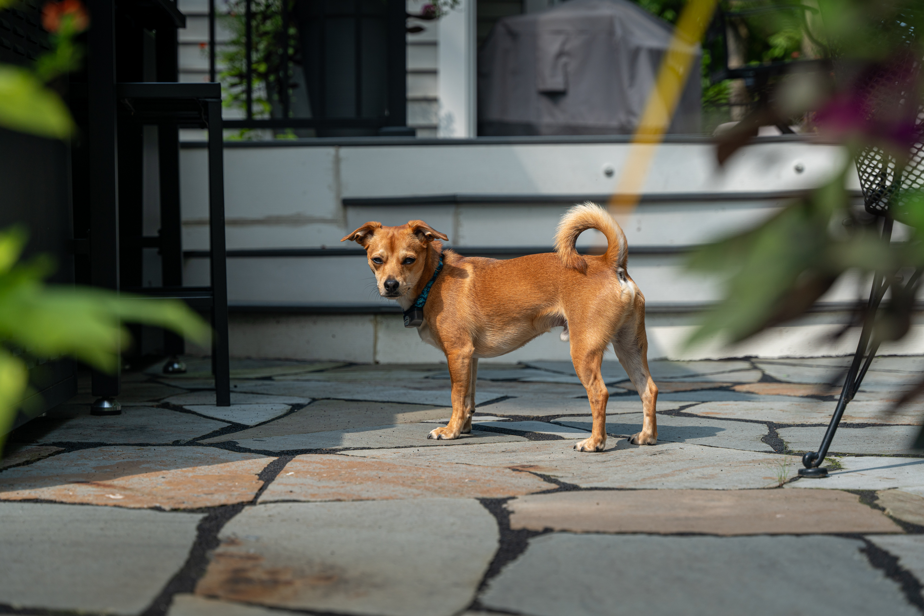 Curved planting beds and landscape design detail