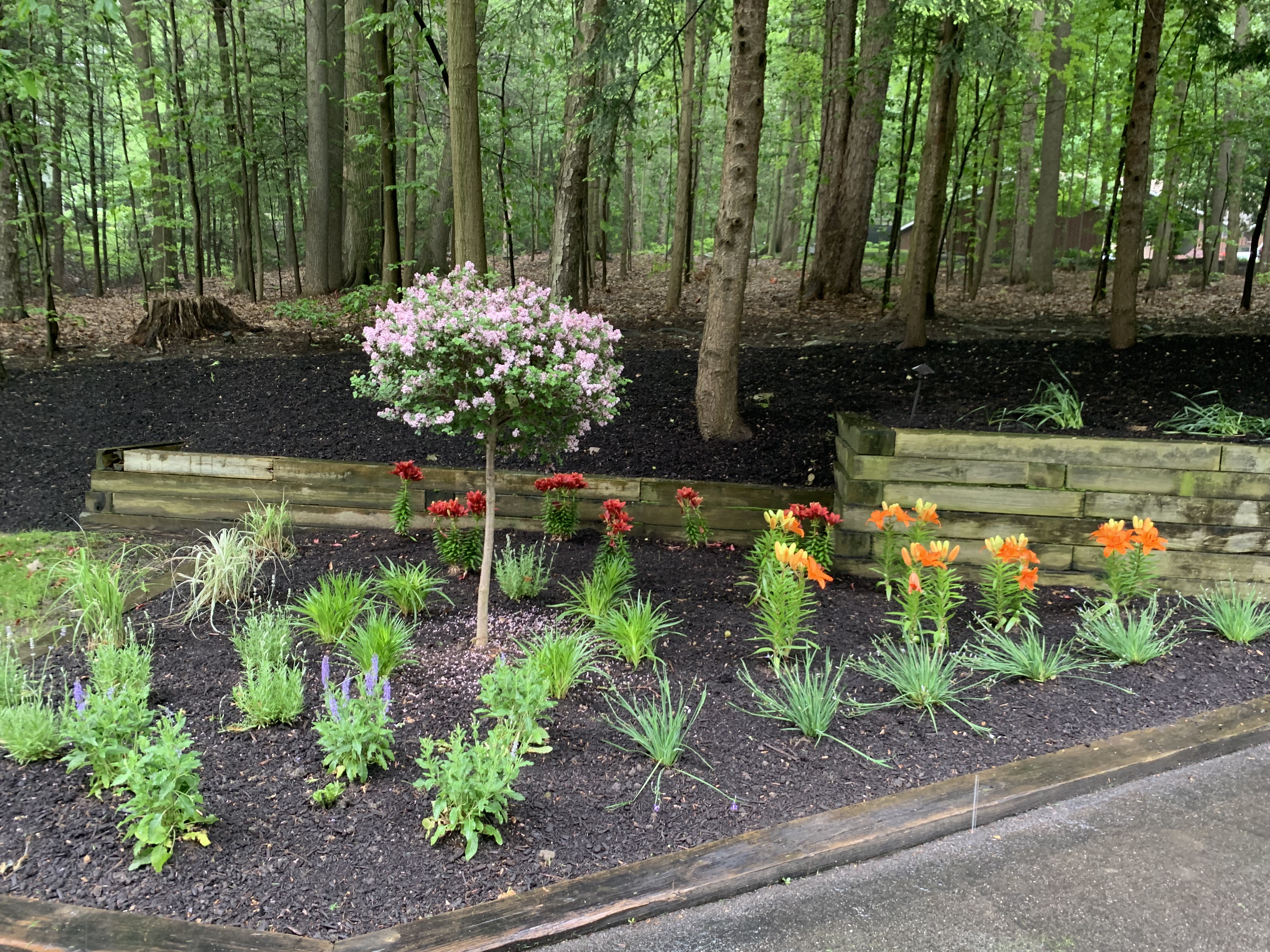 Professional landscape design plan and installation